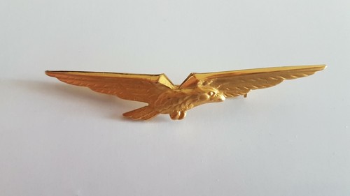 Aquila pilota - da,